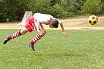 wildcat043.jpg